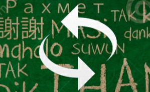 翻译理论导读视频教程 张春柏 28讲 华东师范大学