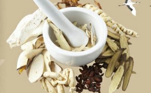 中医学导论视频教程 常存库 28讲 黑龙江中医药大学