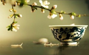 金词通论 视频教程 王昊 36讲 吉林大学