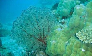 Descriptive Physical Oceanography视频教程 杨海军 38讲 北京大学