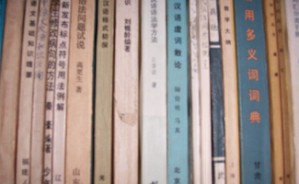 语义功能语法讲话视频教程 马庆株 66讲 南开大学