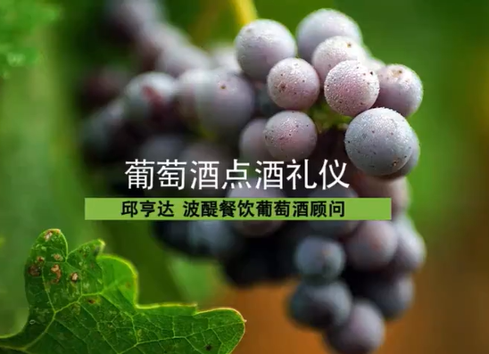 葡萄酒点酒礼仪 邱亨达 1讲 波醍餐饮葡萄酒顾问